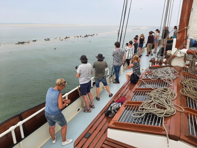 zeiltocht naar de zeehonden