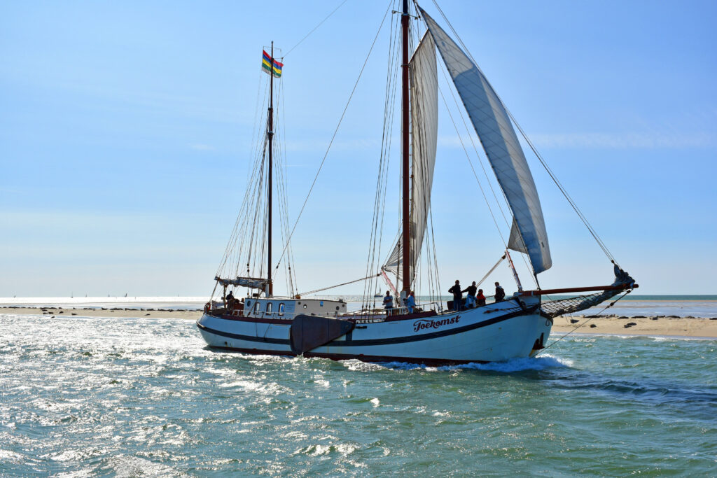 zeehonden zeilschip TerSailing